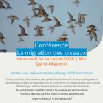 conférence par la LPO: La migration des oiseaux